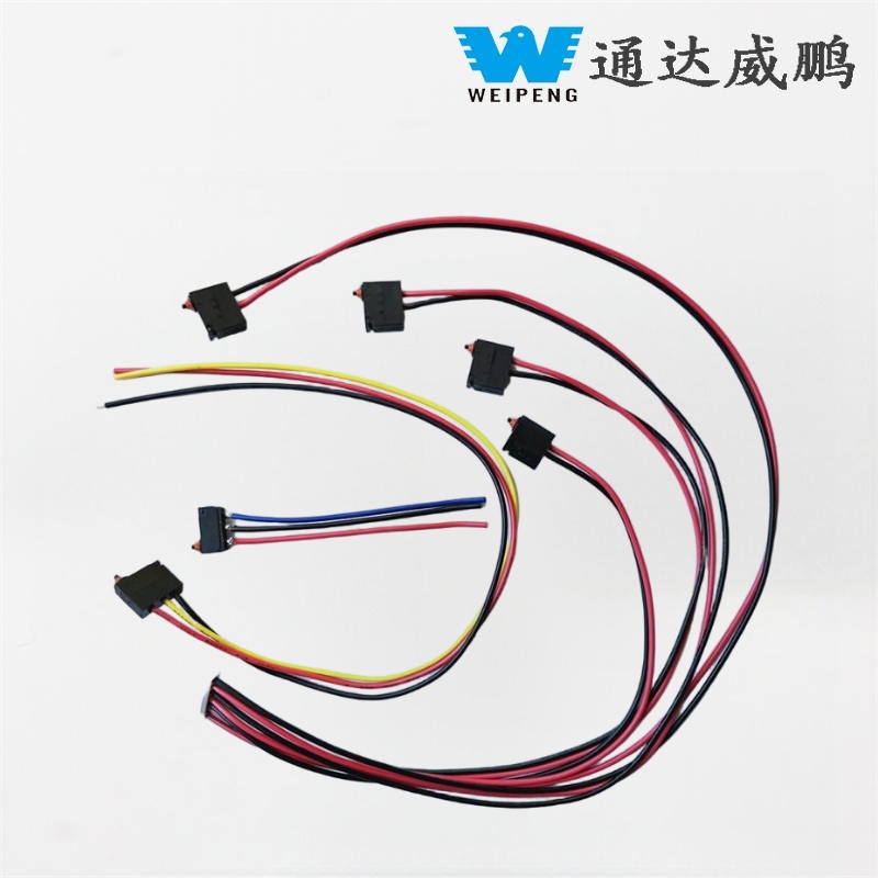 Switch mikro push long